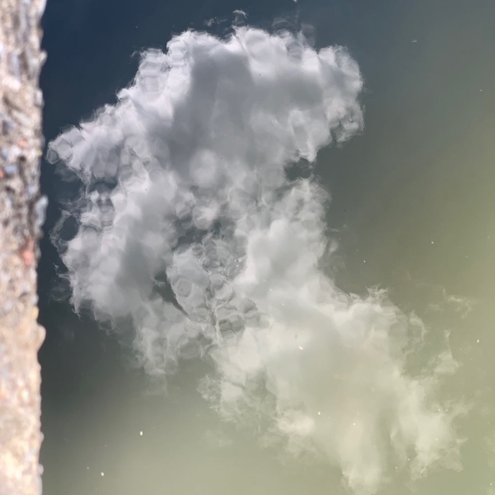 Meet your Posher, Royale